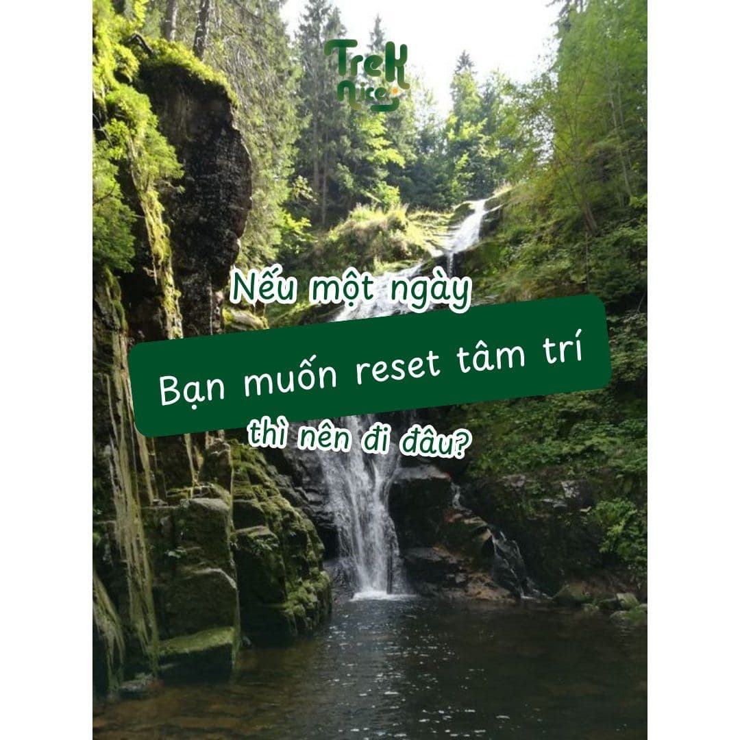 Thiên Nhiên Luôn Có Cách Chữa Lành Riêng Của Nó