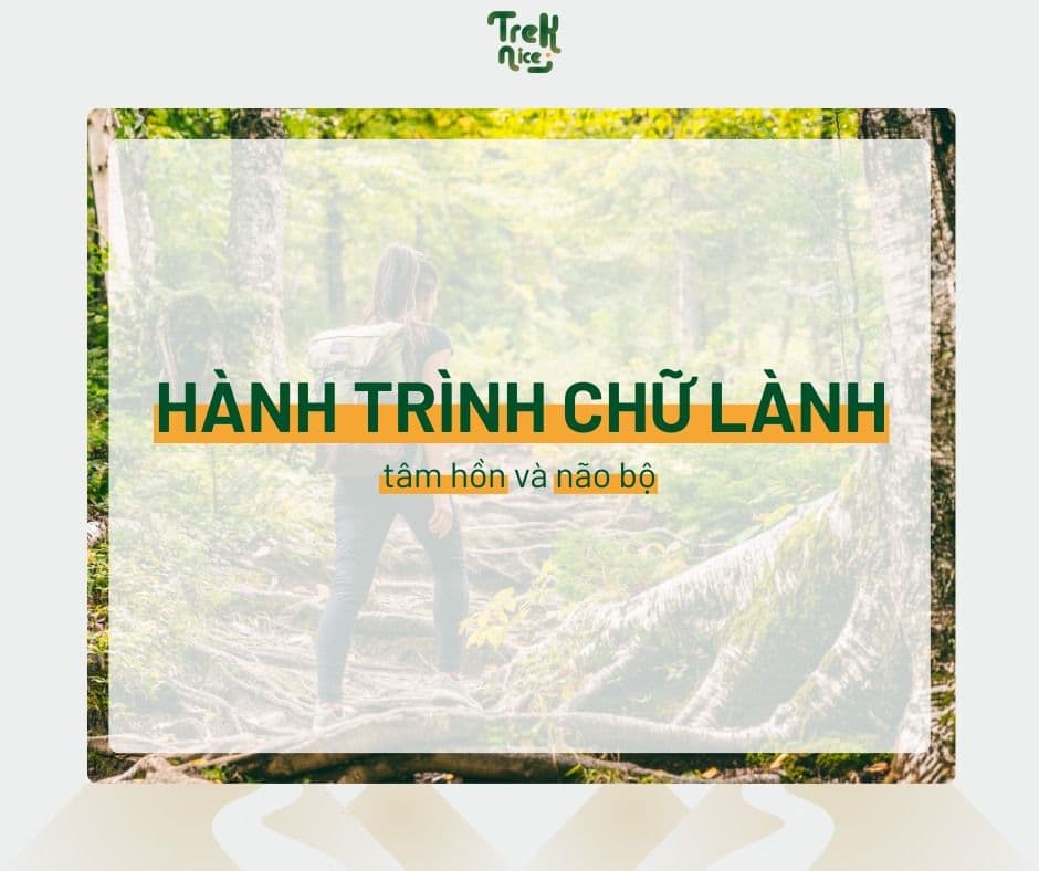 KIẾN THỨC TREKKING: HÀNH TRÌNH CHỮA LÀNH TÂM HỒN VÀ NÃO BỘ