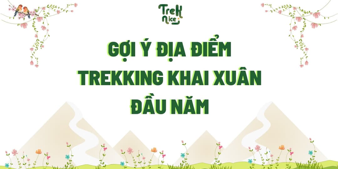 Top 9 Địa Điểm Trekking Khai Xuân Đẹp Nhất Việt Nam 2025