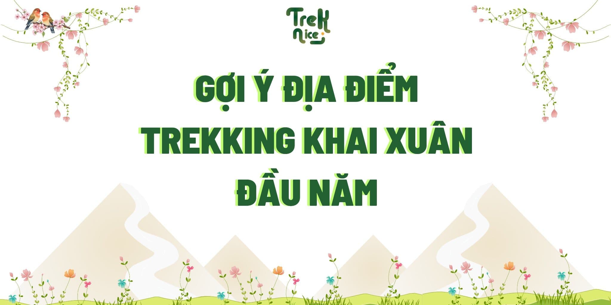 Top 9 Địa Điểm Trekking Khai Xuân Đẹp Nhất Việt Nam 2025
