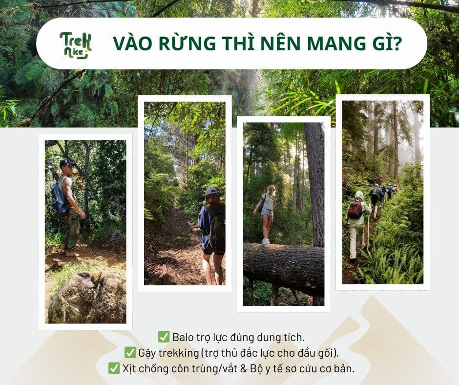 Checklist đi Trekking: Chuẩn bị mọi thứ cần thiết để chuyến đi an toàn và trọn vẹn